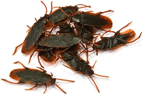 Eioflia fals gândac realist plastic gândac insecte glumă jucării glumă înfricoșător truc bug-uri pentru proști zi 10buc gândac