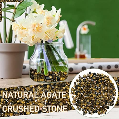 TODOZO cristalele naturale de piatră din piatră de râu cu pietre ornamentale de acvariu cu plante suculente Bonsai vaza de