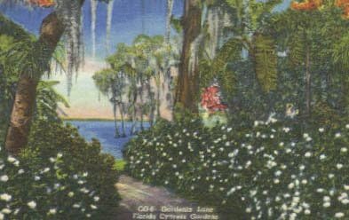 Cypress Gardens, Florida Postcard