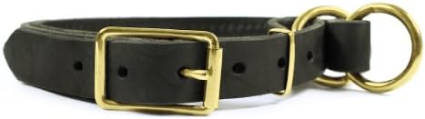 Dean și Tyler Strictly Business Dog Gullar - Solid Brass Hardware - Negru - Dimensiune 26 X 1 Lățime. Se potrivește cu dimensiunea