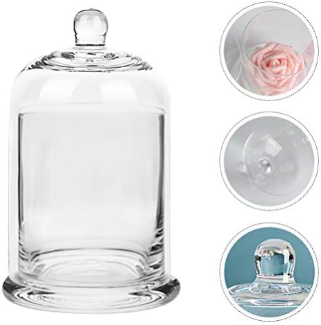GANAZONO Decorative Cloche Jar 1 Set sticlă Cloche Dome lumânare titular Bell Jar masă decorative caz acoperite plante terariu
