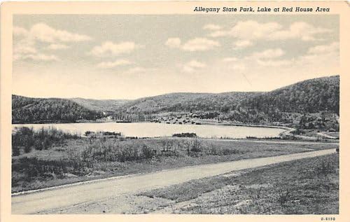 Allegany State Park, New York Postcard